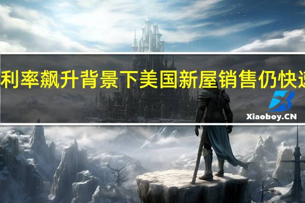 利率飙升背景下 美国新屋销售仍快速增加