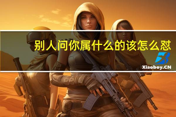 别人问你属什么的该怎么怼