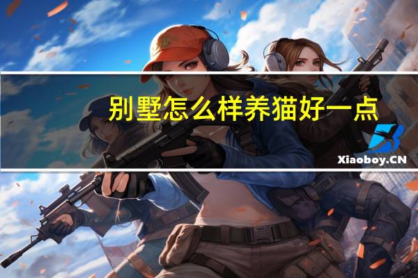 别墅怎么样养猫好一点