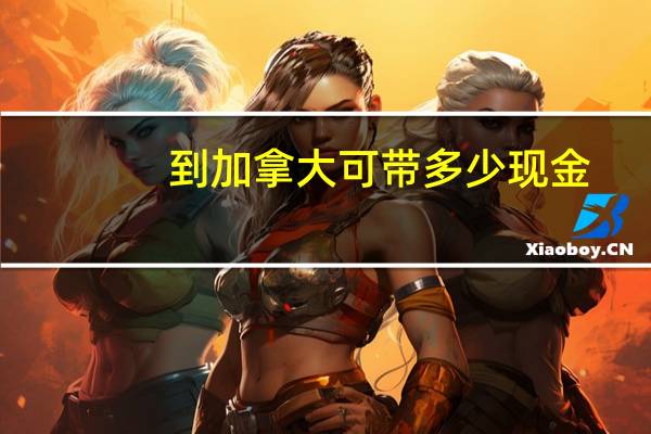到加拿大可带多少现金