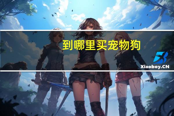 到哪里买宠物狗