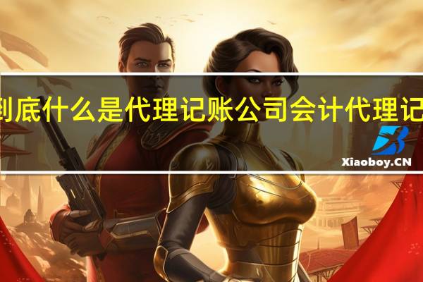 到底什么是代理记账公司 会计代理记帐公司