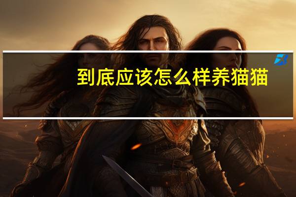 到底应该怎么样养猫猫