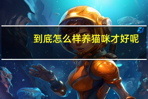 到底怎么样养猫咪才好呢