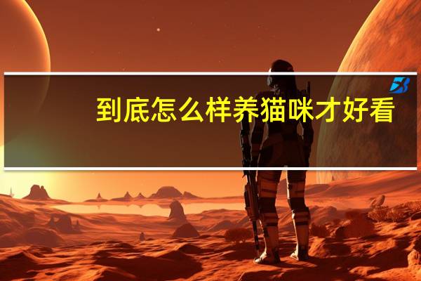 到底怎么样养猫咪才好看