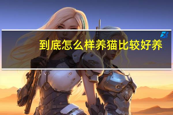 到底怎么样养猫比较好养