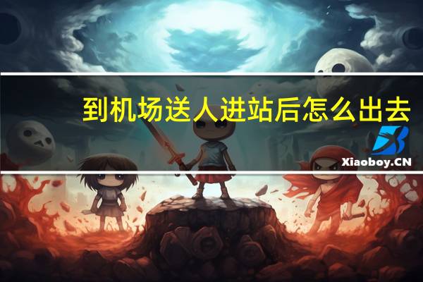 到机场送人进站后怎么出去