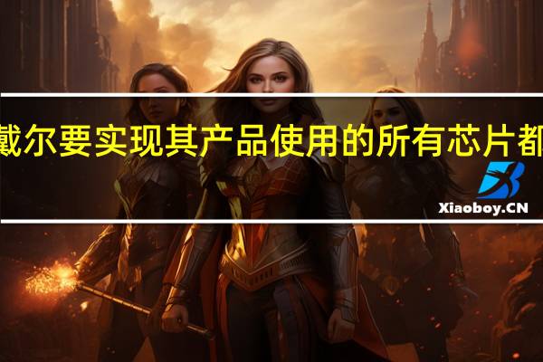到2024年戴尔要实现其产品使用的所有芯片都在中国以外生产