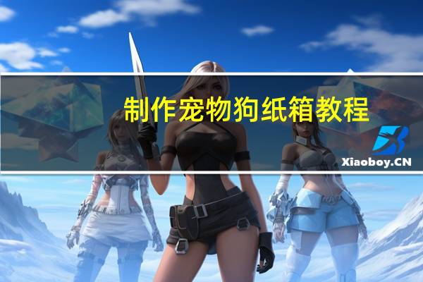 制作宠物狗纸箱教程