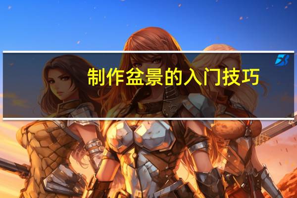 制作盆景的入门技巧