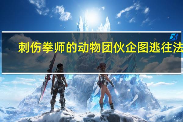 刺伤拳师的动物团伙企图逃往法国,最终被判46年监禁