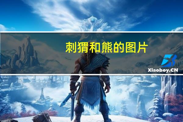 刺猬和熊的图片（刺猬和熊猫小姐）