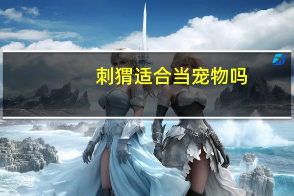 刺猬适合当宠物吗