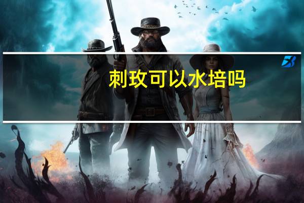 刺玫可以水培吗