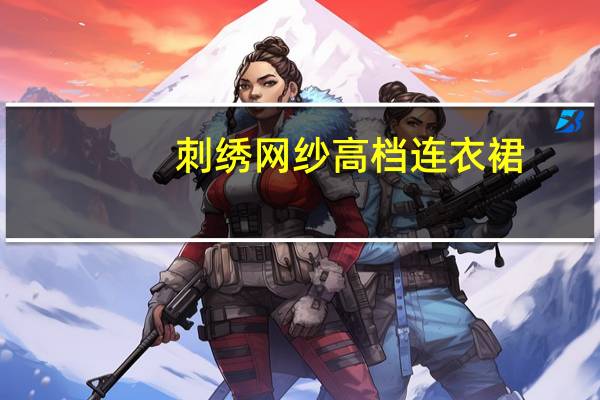 刺绣网纱高档连衣裙（刺绣网）