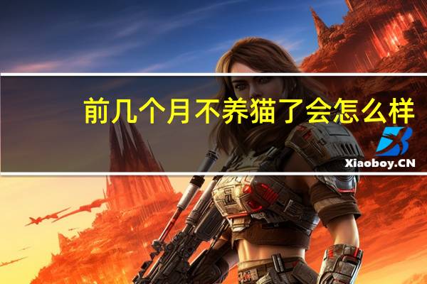 前几个月不养猫了会怎么样