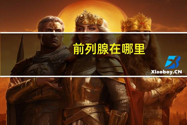 前列腺 在哪里（前列腺大概在哪）