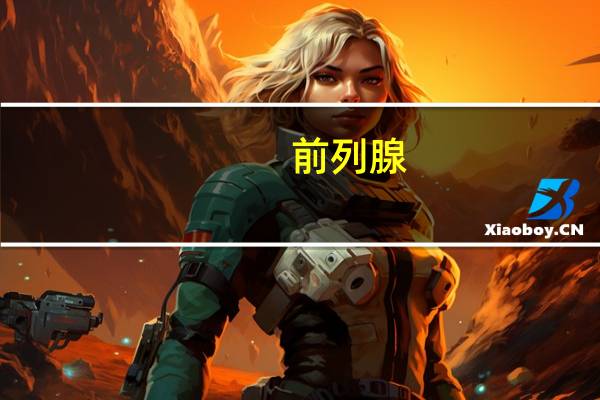 前列腺（关于前列腺的介绍）