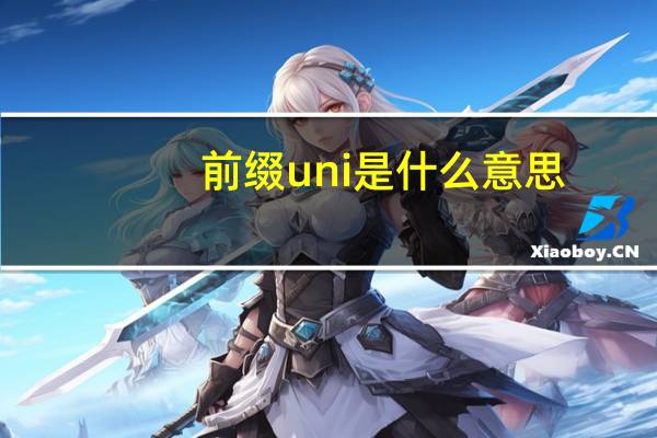 前缀uni是什么意思
