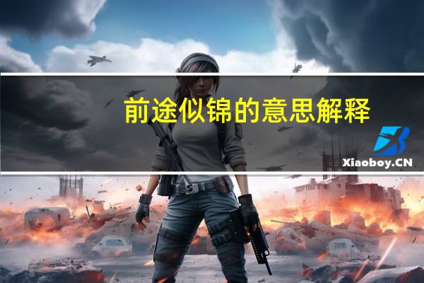前途似锦的意思解释