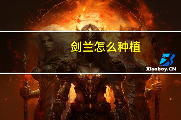 剑兰怎么种植