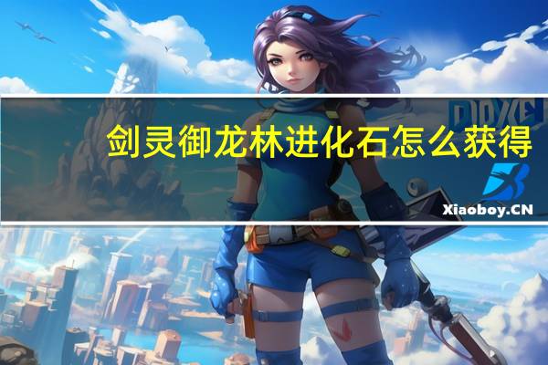 剑灵御龙林进化石怎么获得（剑灵御龙林进化石怎么制作）