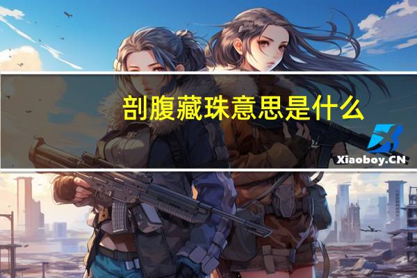 剖腹藏珠意思是什么