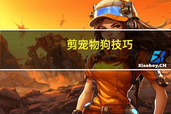 剪宠物狗技巧