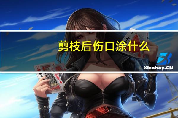 剪枝后伤口涂什么