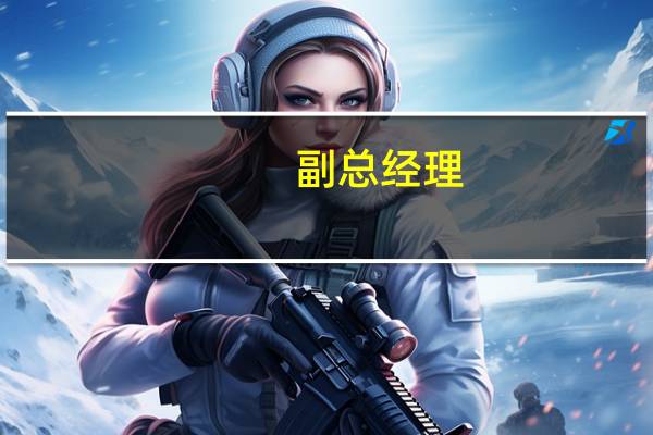 副总经理