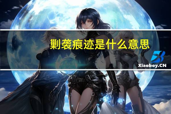 剿袭痕迹是什么意思