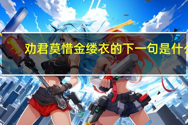 劝君莫惜金缕衣的下一句是什么