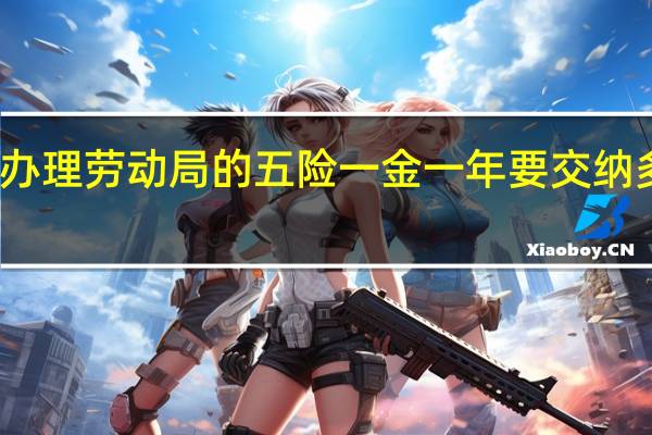 办理劳动局的五险一金一年要交纳多少钱