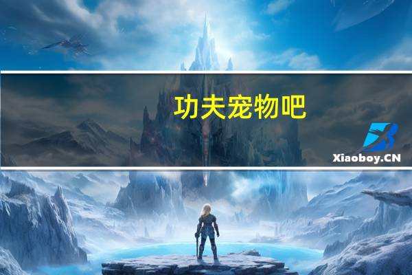 功夫宠物吧