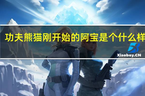 功夫熊猫刚开始的阿宝是个什么样子的