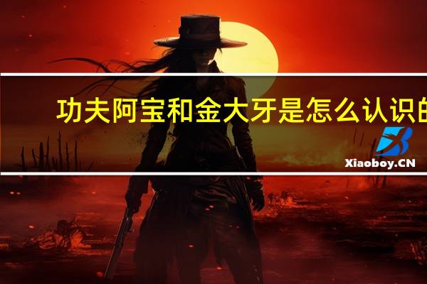 功夫阿宝和金大牙是怎么认识的
