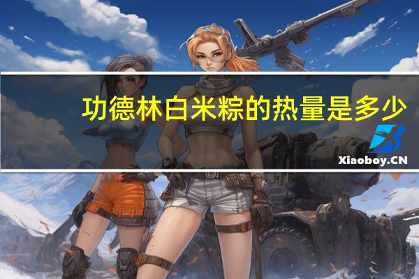 功德林 白米粽的热量是多少