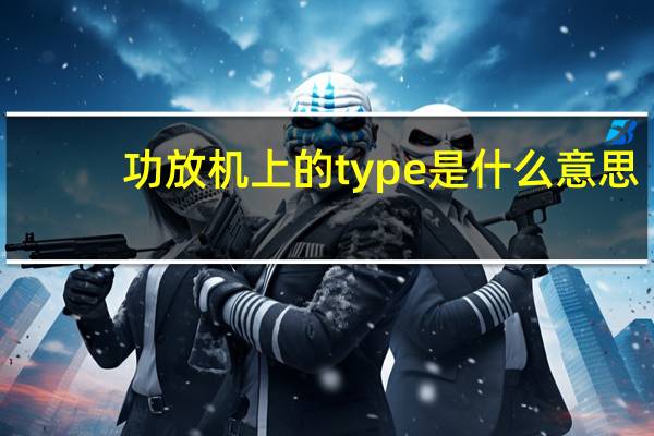 功放机上的type是什么意思
