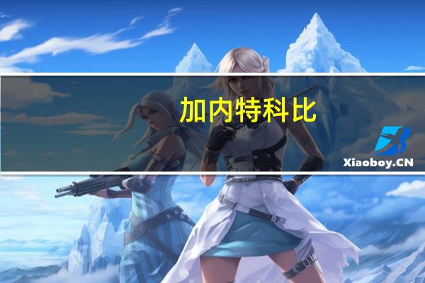 加内特科比（加内特资料）