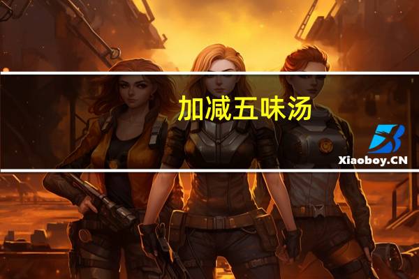 加减五味汤（五味汤简介）