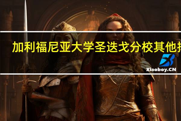 加利福尼亚大学圣迭戈分校其他排名
