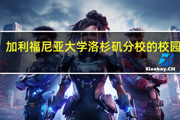 加利福尼亚大学洛杉矶分校的校园环境