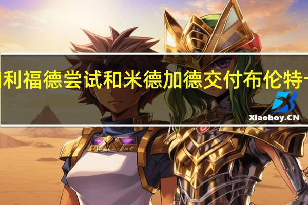 加利福德尝试和米德加德交付布伦特十字BtR