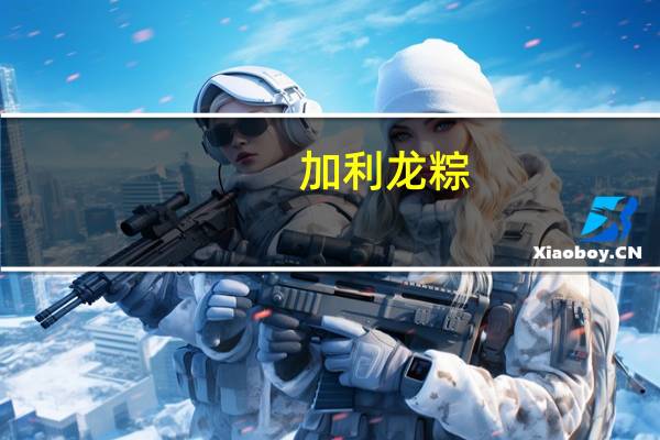 加利 龙粽(冰糖养生粽)卡路里是多少
