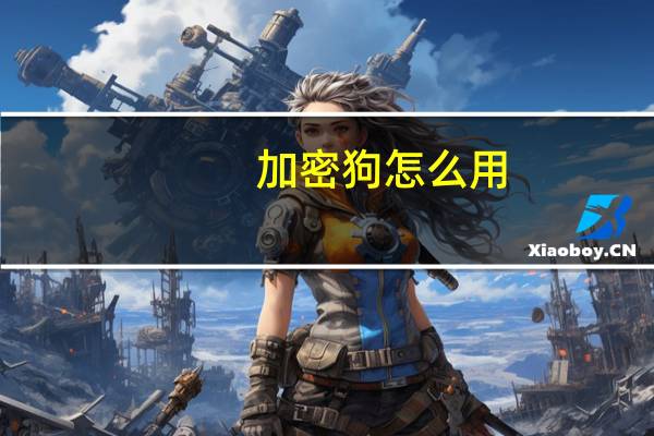 加密狗怎么用