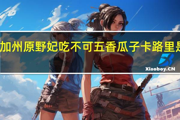 加州原野 妃吃不可五香瓜子卡路里是多少