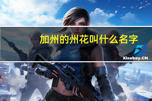 加州的州花叫什么名字