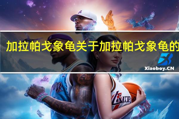 加拉帕戈象龟 关于加拉帕戈象龟的介绍