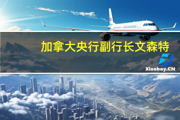 加拿大央行副行长文森特：在定价行为恢复正常之前我们还有很长的路要走