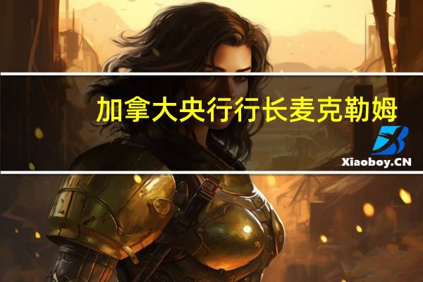 加拿大央行行长麦克勒姆：从疫情中恢复后我们原以为会看到生产率有更大的提升